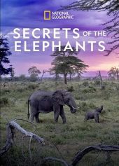 Sekretne życie słoni